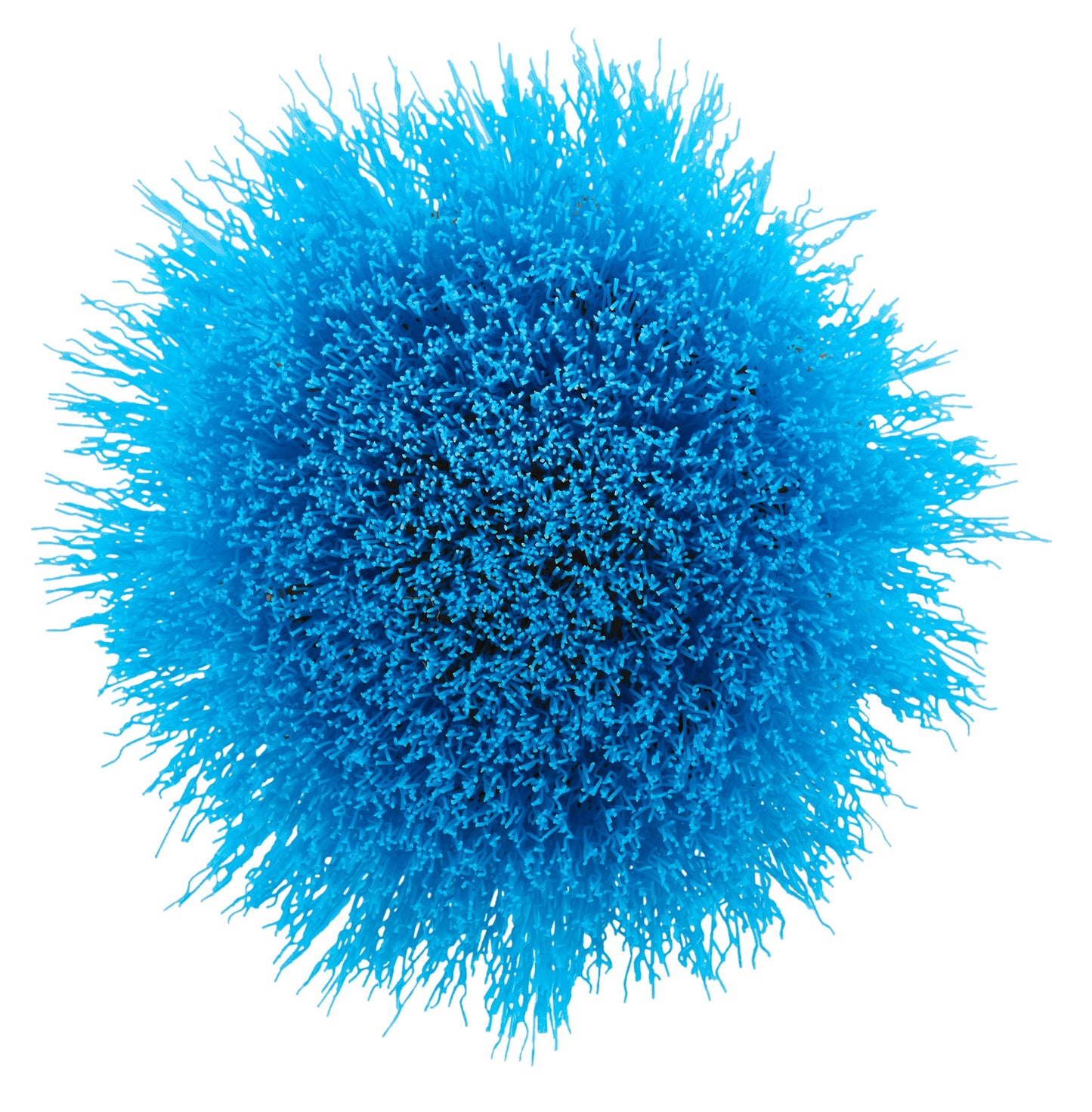 2 PC. SOFT BRISTLE BRUSH CLEANING KIT Image 4