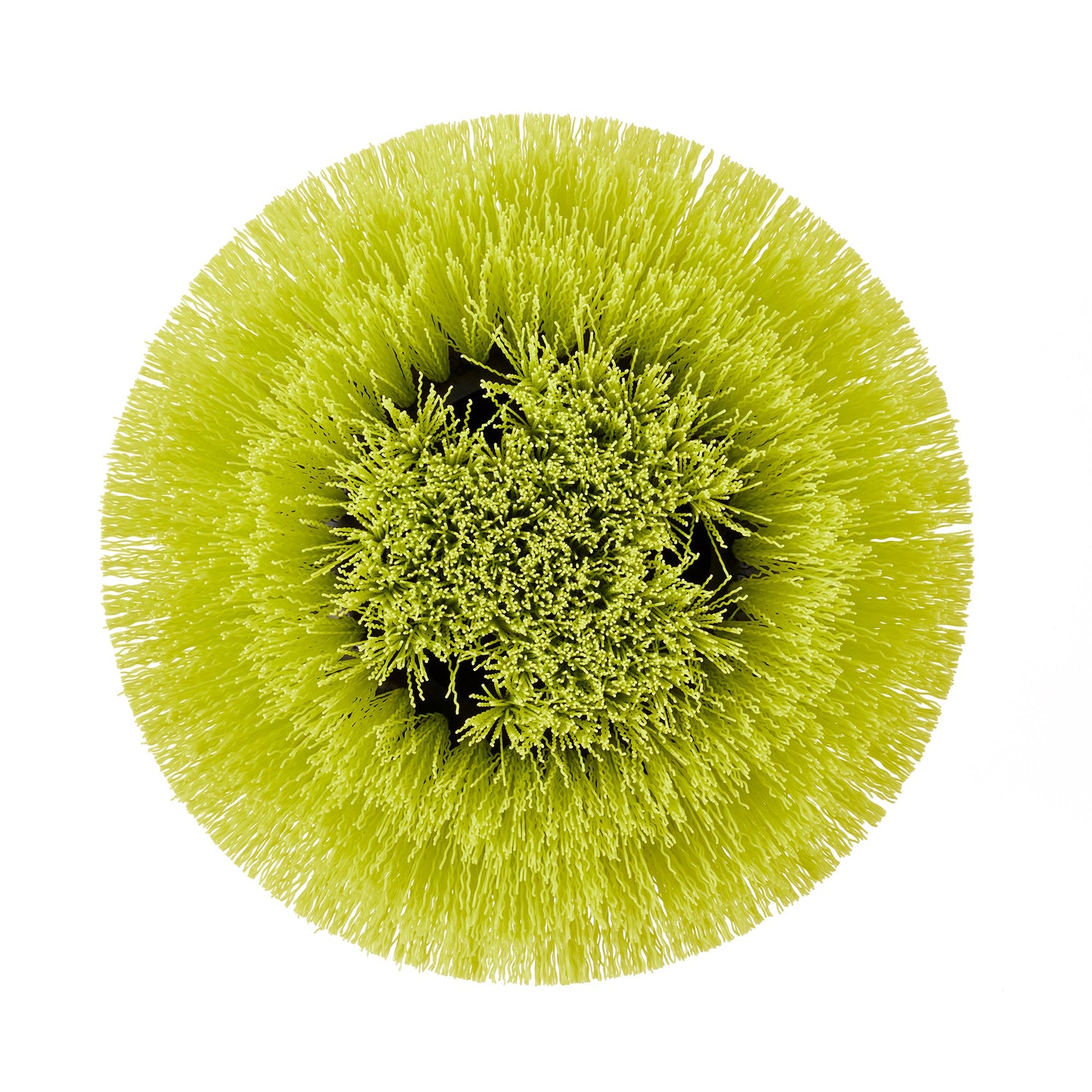 MEDIUM BRISTLE ROUND BRUSH image