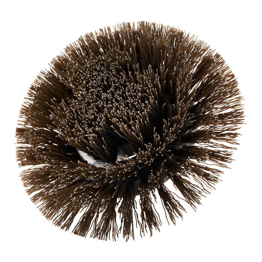 HARD BRISTLE ROUND BRUSH RYOBI Tools